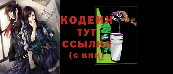 молекула духа Белоозёрский