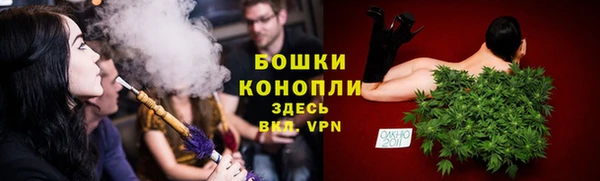 молекула духа Белоозёрский