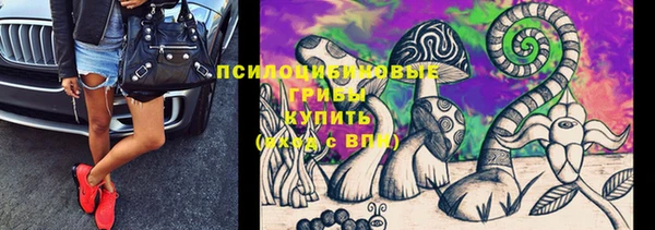 молекула духа Белоозёрский
