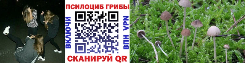 Псилоцибиновые грибы Cubensis дарнет шоп Пыть-Ях